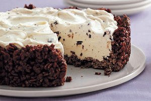 Ice Cream Pie with a Chocolate Granola No Bake Crust!